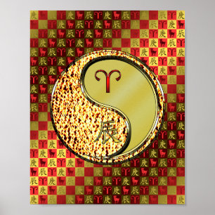 Äsche und Metalldrache Poster