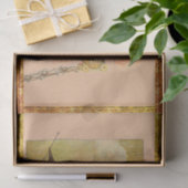Aschenputtel und ihre Mutter Seidenpapier (Geschenk)