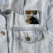 Aschewolke aus dem Ausbruch des Chaiten-Vulkans, C Button (Beispiel)