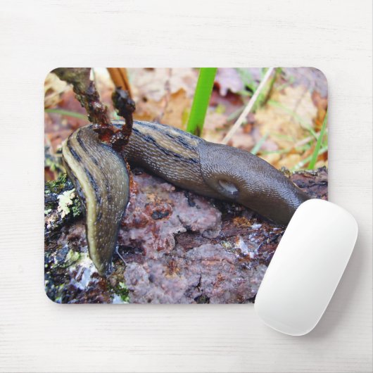Aschig-Graue Schnecken-Mäusematte Mousepad (Mit Mouse)