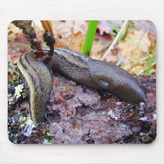 Aschig-Graue Schnecken-Mäusematte Mousepad (Vorne)