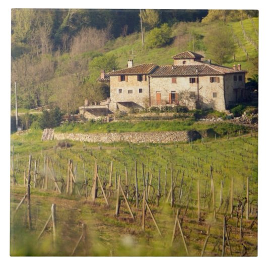 Aschuito, ein Bauernhof, der Gäste empfängt, Fliese (Vorderseite)