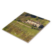 Aschuito, ein Bauernhof, der Gäste empfängt, Fliese (Seite)