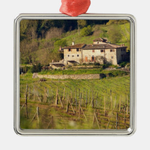 Aschuito, ein Bauernhof, der Gäste empfängt, Silbernes Ornament