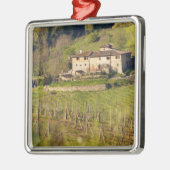 Aschuito, ein Bauernhof, der Gäste empfängt, Silbernes Ornament (Links)