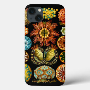 Ascidiacea (Meerücken), Ernst Haeckel Fine Art Case-Mate iPhone Hülle