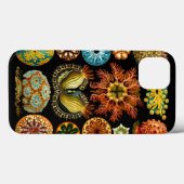 Ascidiacea (Meerücken), Ernst Haeckel Fine Art Case-Mate iPhone Hülle (Rückseite (Horizontal))