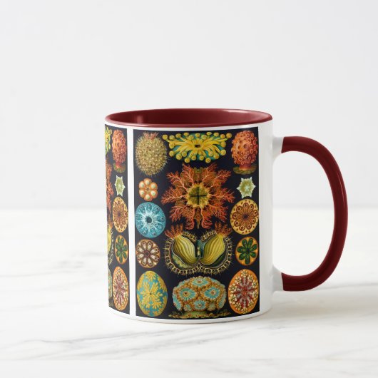 Ascidiacea (Meerücken), Ernst Haeckel Fine Art Tasse (Rechts)