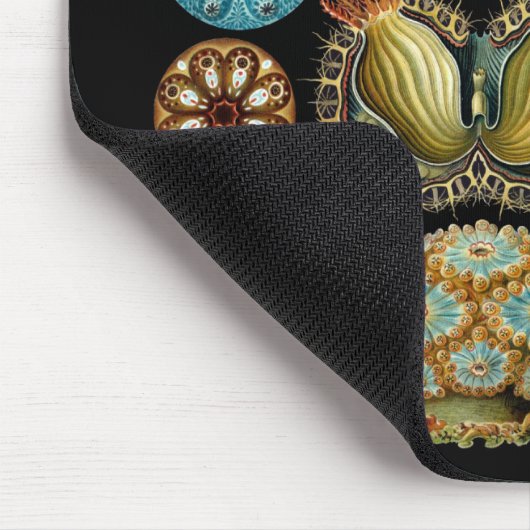 Ascidiacea Mousepad (Ecke)