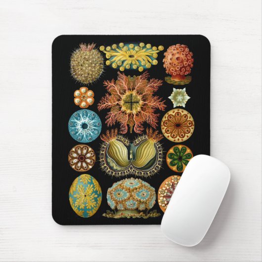 Ascidiacea Mousepad (Mit Mouse)