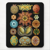 Ascidiacea Mousepad (Vorne)