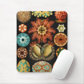 Ascidiae, Seescheiden Marine Life von Ernst Haecke Mousepad (Mit Mouse)