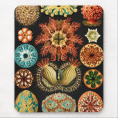 Ascidiae, Seescheiden Marine Life von Ernst Haecke Mousepad (Vorne)