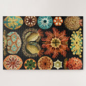Ascidiae, Seescheiden Marine Life von Ernst Haecke Puzzle (Horizontal)