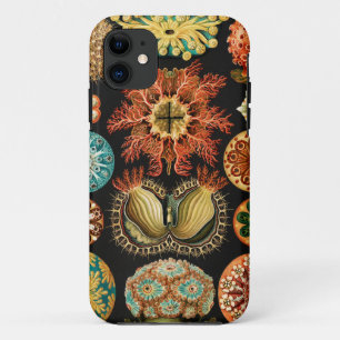 Ascidiae, Seescheiden Meeresleben von Ernst Haecke Case-Mate iPhone Hülle