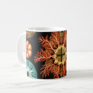 Ascidiae, Seescheiden Meeresleben von Ernst Haecke Kaffeetasse