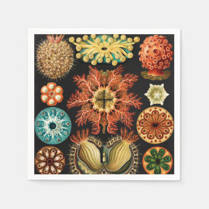 Ascidiae, Seescheiden Meeresleben von Ernst Haecke Serviette