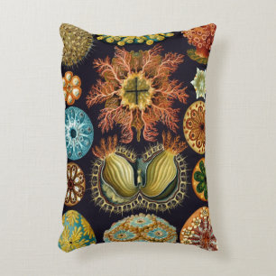 Ascidiae von Ernst Haeckel, Vintage Meereslebewese Dekokissen
