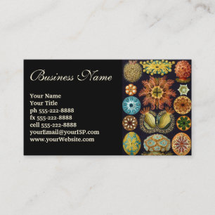 Ascidiae von Ernst Haeckel, Vintage-Meereslebewese Visitenkarte