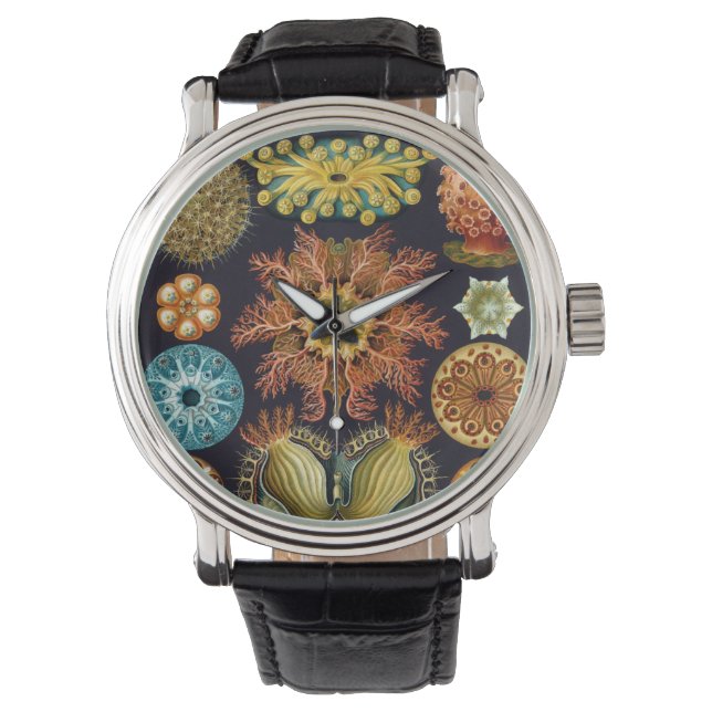 Ascidiae von Ernst Haeckel, Vintage Meerestiere Armbanduhr (Vorderseite)
