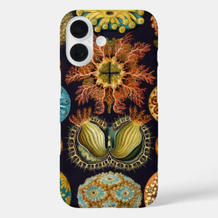 Ascidiae von Ernst Haeckel, Vintage Meerestiere iPhone 16 Hülle