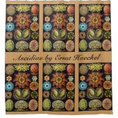 Ascidiae von Ernst Haeckel, Vintage Meerestiere Duschvorhang (Vorderseite)