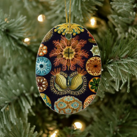 Ascidiae von Ernst Haeckel, Vintage Meerestiere Keramikornament (Baum)