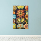 Ascidiae von Ernst Haeckel, Vintage Meerestiere Leinwanddruck (Insitu (Holzboden))