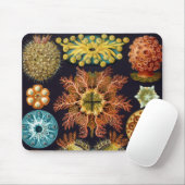 Ascidiae von Ernst Haeckel, Vintage Meerestiere Mousepad (Mit Mouse)