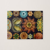 Ascidiae von Ernst Haeckel, Vintage Meerestiere Puzzle (Horizontal)
