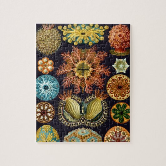 Ascidiae von Ernst Haeckel, Vintage Meerestiere Puzzle (Vertikal)
