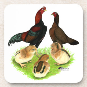 Aseel Black Red Chicken Family Getränkeuntersetzer