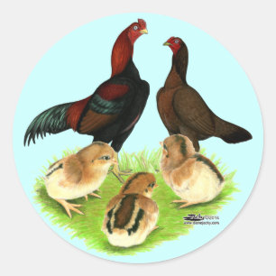 Aseel Black Red Chicken Family Runder Aufkleber