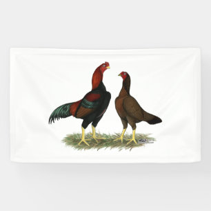 Aseel Black Red Chickens Banner