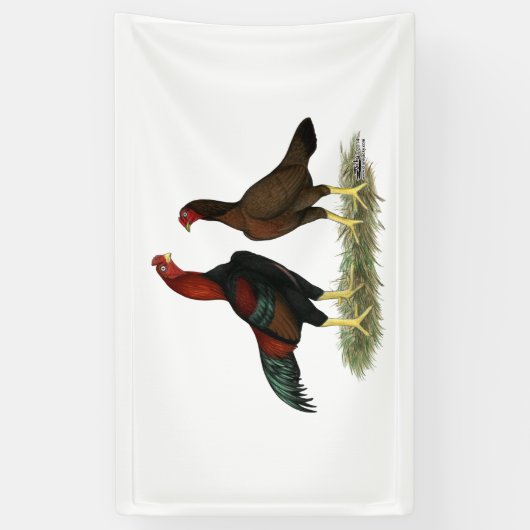 Aseel Black Red Chickens Banner (Vertikal)