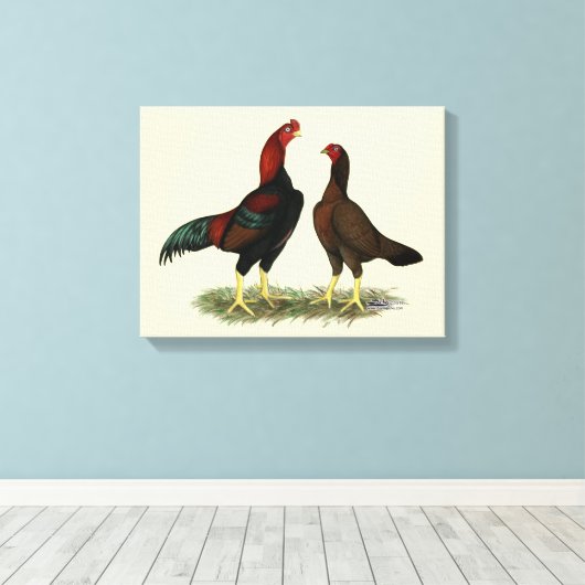 Aseel Black Red Chickens Leinwanddruck (Insitu (Holzboden))