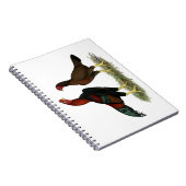 Aseel Black Red Chickens Notizblock (Rechte Seite)