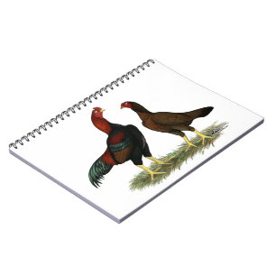 Aseel Black Red Chickens Notizblock