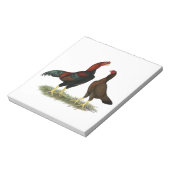 Aseel Black Red Chickens Notizblock (Rotiert)