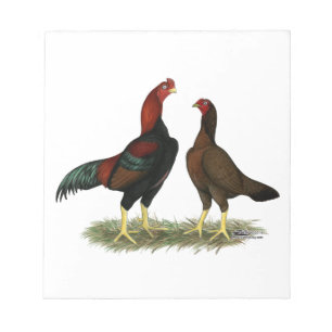 Aseel Black Red Chickens Notizblock