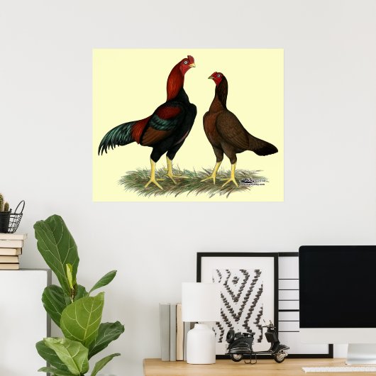 Aseel Black Red Chickens Poster (Heimbüro)