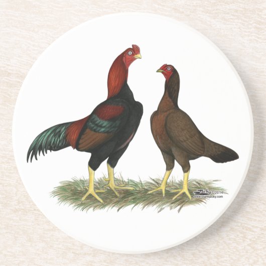 Aseel Black Red Chickens Sandstein Untersetzer (Vorne)