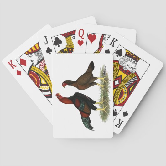 Aseel Black Red Chickens Spielkarten (Rückseite)