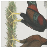 Aseel Black Red Chickens Stoff (Nahaufnahme)