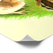 Aseel Black Red Chicks Poster (Ecke)