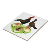 Aseel schwarze rote Huhn-Familie Fliese (Seite)