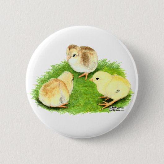 Aseel Weizen Küken Button (Vorderseite)