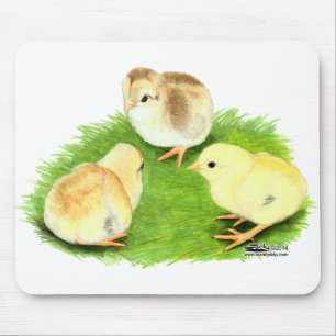Aseel Weizen Küken Mousepad