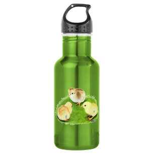 Aseel Weizen Küken Trinkflasche