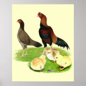 Aseel Wheaten Chicken Family Poster (Vorne)
